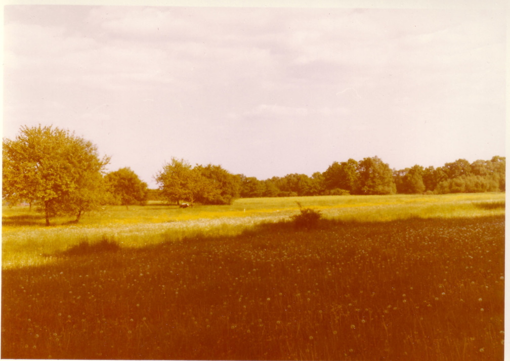 Weg zum Ramischauer Wald nach dem Dorf